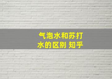 气泡水和苏打水的区别 知乎